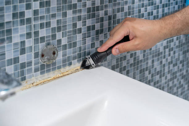 Office Mold Removal Services in Honolulu, HI